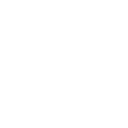 Custom Branding