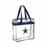 Transparent Tote Bag
