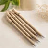 Seed Paper Pen